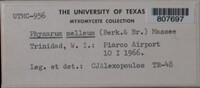 Image Associated With the Occurence